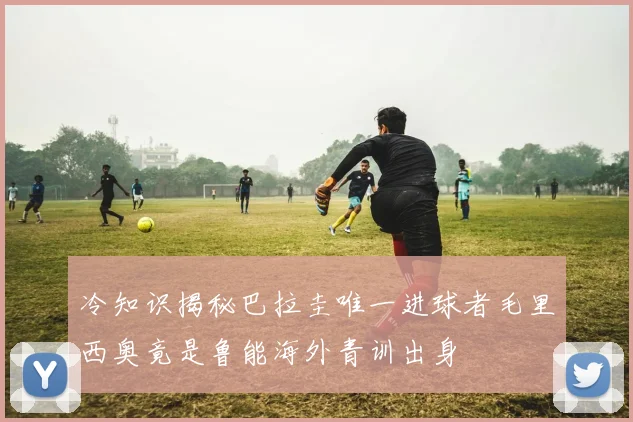 冷知识揭秘巴拉圭唯一进球者毛里西奥竟是鲁能海外青训出身