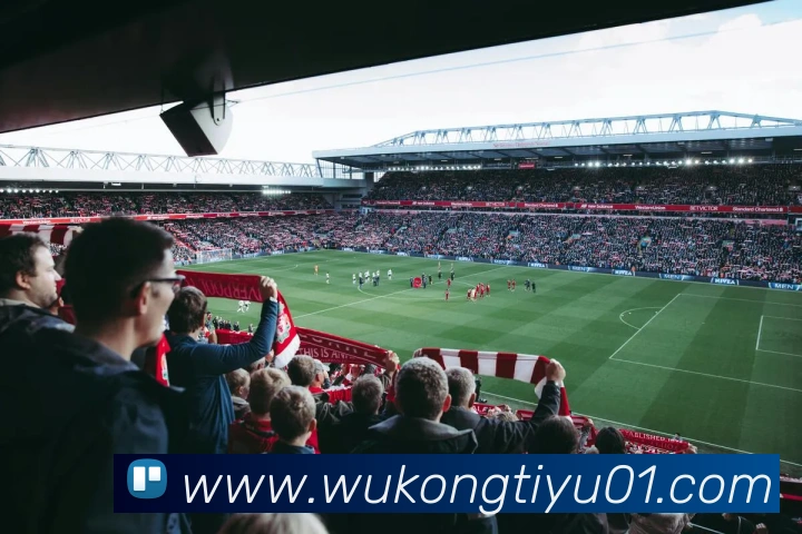 App Interface Preview