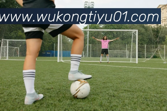 悟空体育APP 封面图