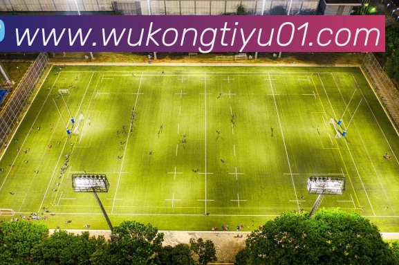 数据防护可视化